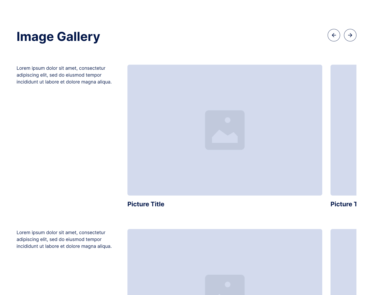 Wireframe 7